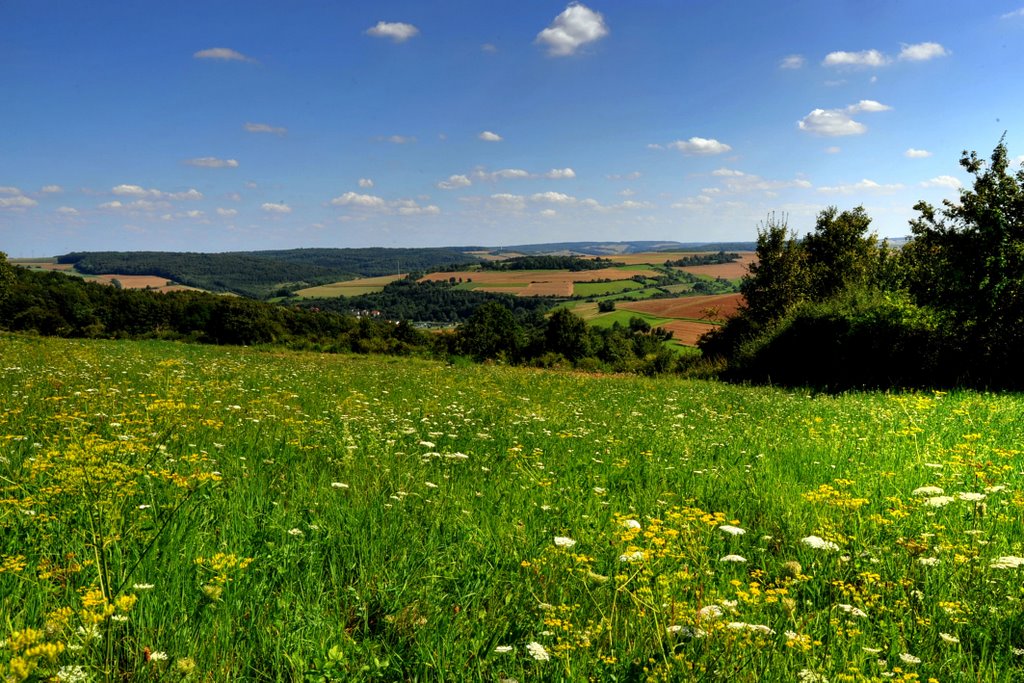 Blühende Landschaft by Holger Uwe Schmitt