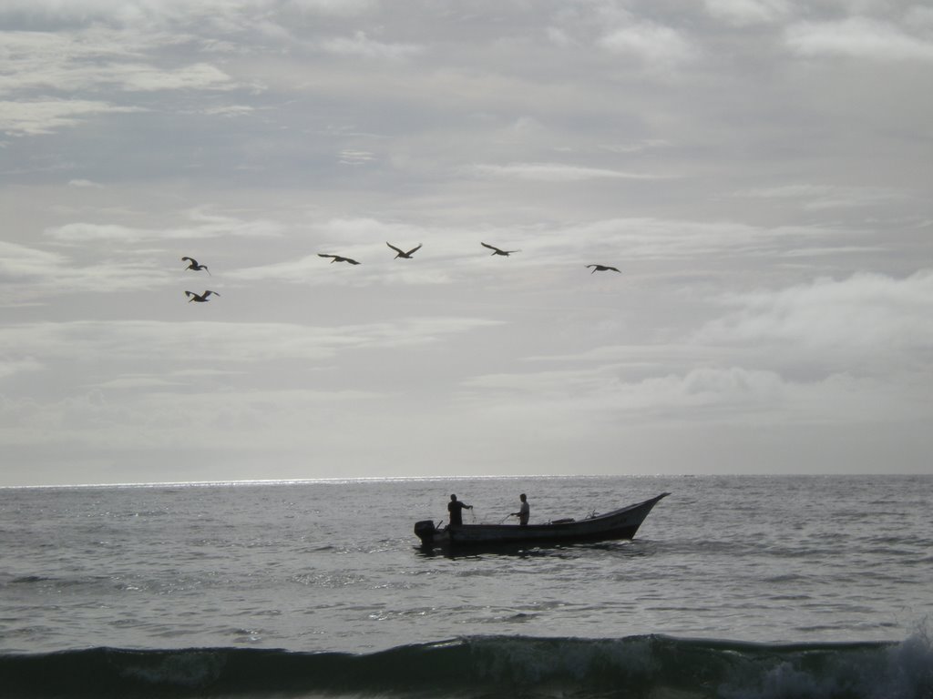 Pescadores y Pelicanos by davidop