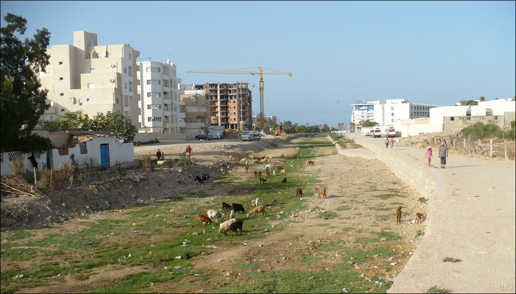 Sousse, Tunisia by _ars_