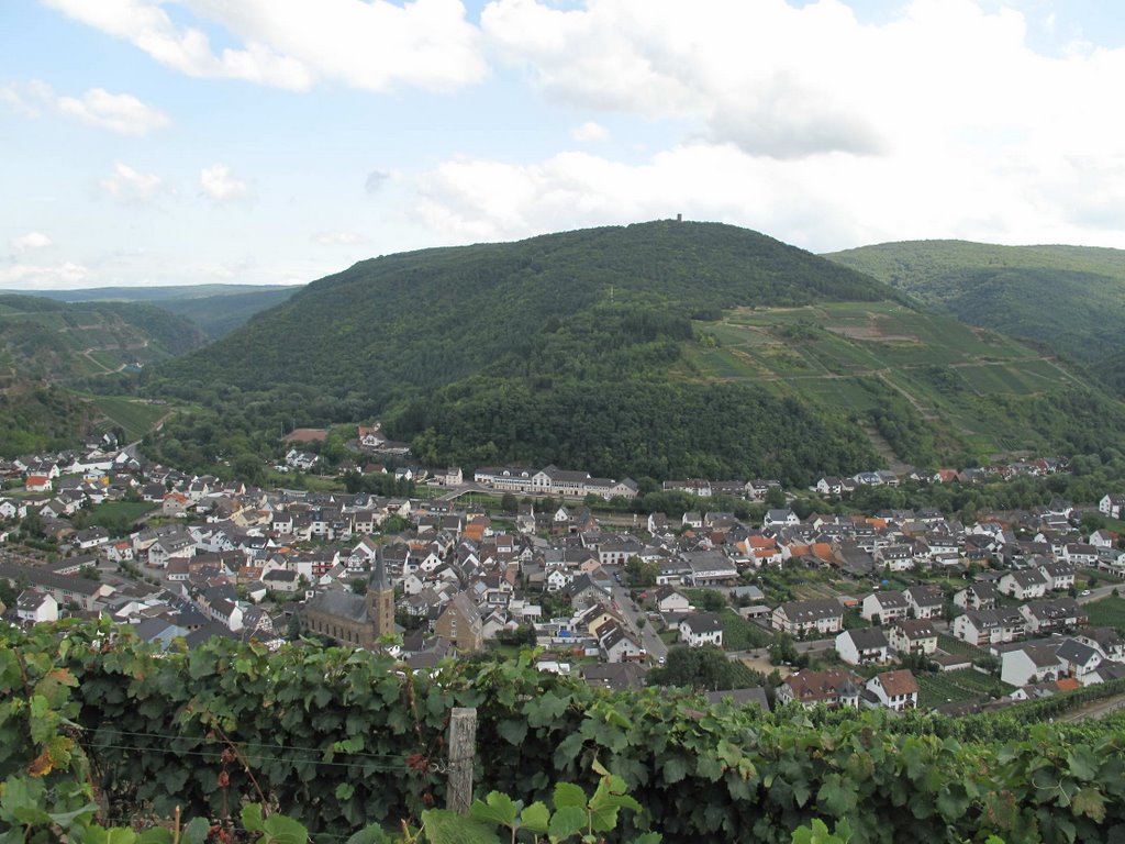 Dernau, Krausberg, Ahrtal, Eifel by youwiko