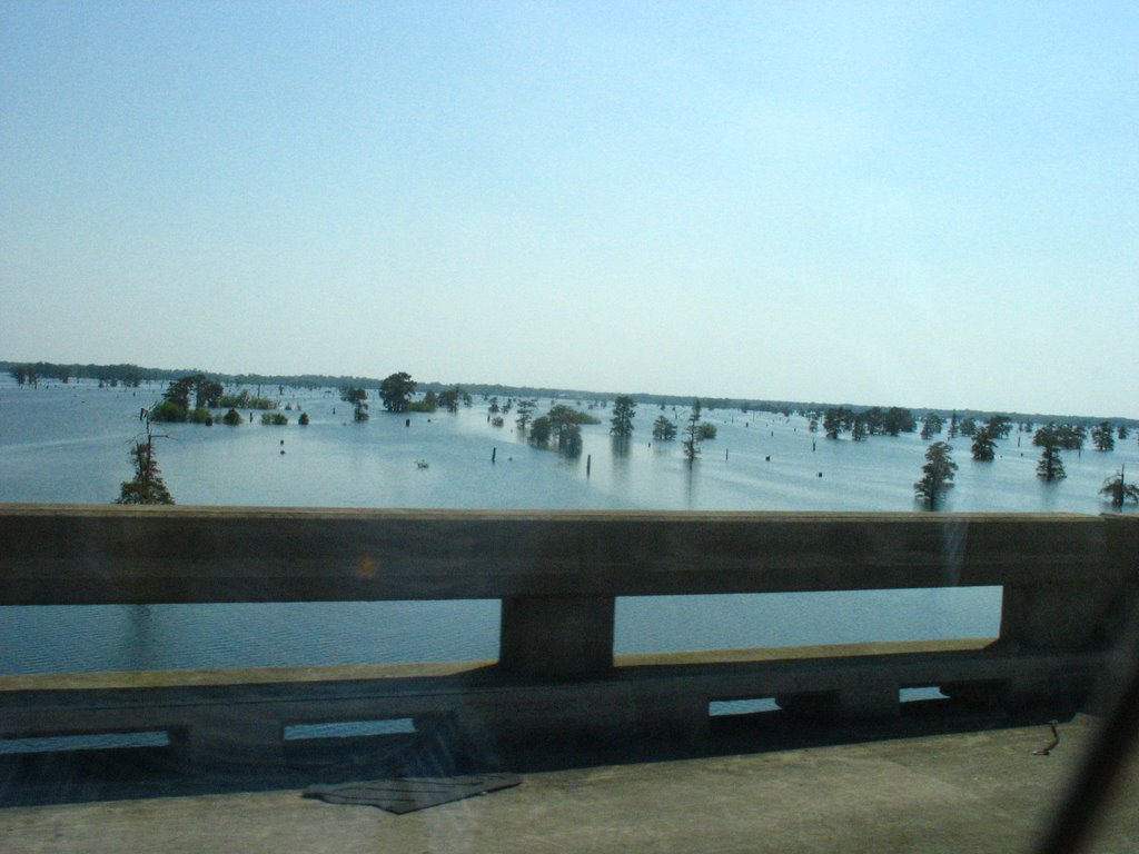 On the Bayou by grg001