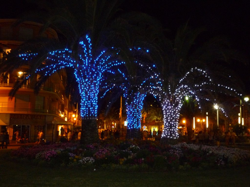 Rond point des Palmiers by night by Hans_007 by Hans_007