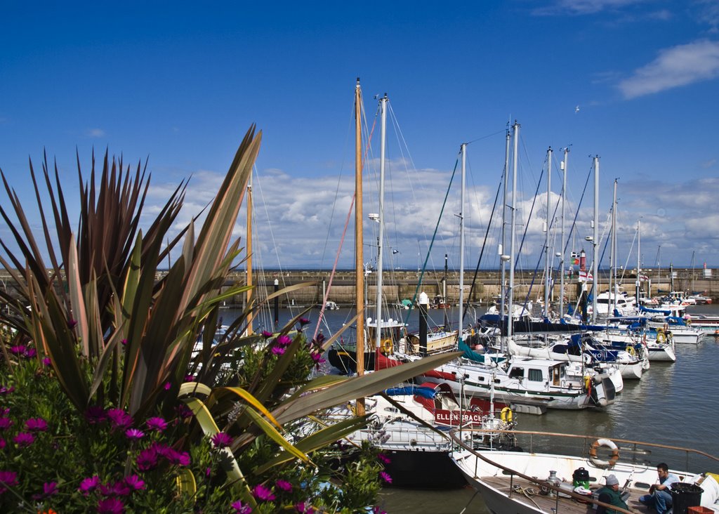 Watchet Marina by colym