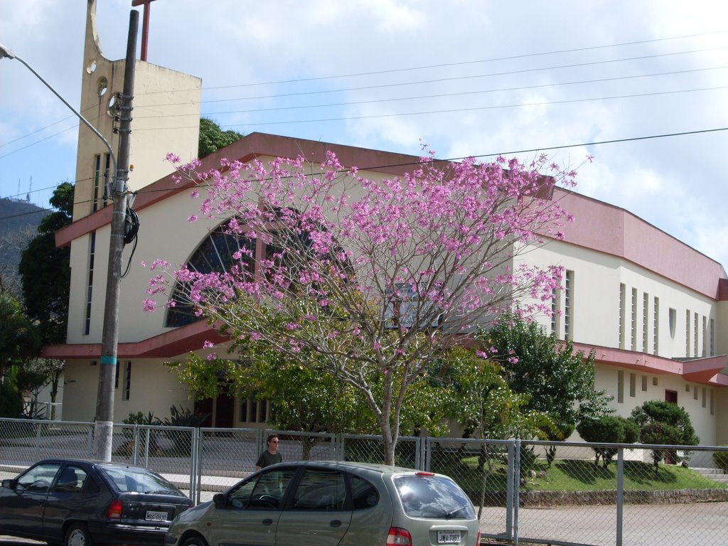 Ipê roxo, plantado por "Bugio da Zimba", em 1999. by Bugio da Zimba