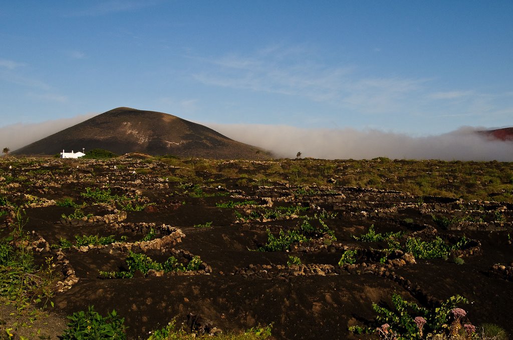 La Geria mit Montego Negra im Morgenlicht by mmheu