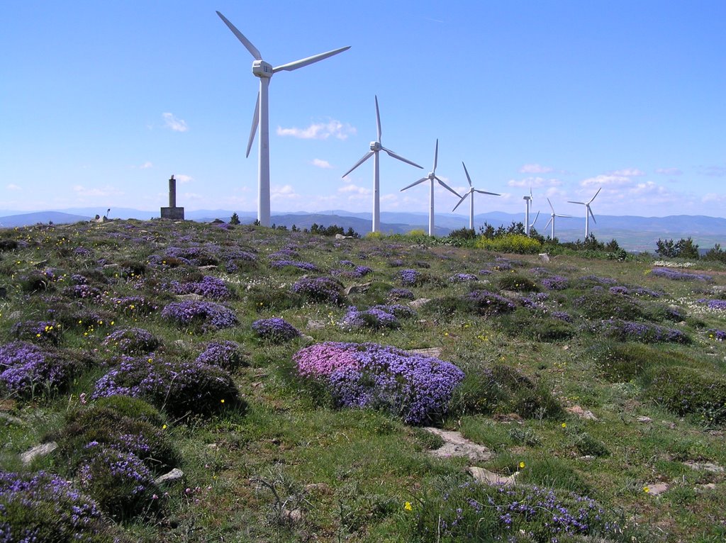 Windturbines on the hils near Olvega by sorensen