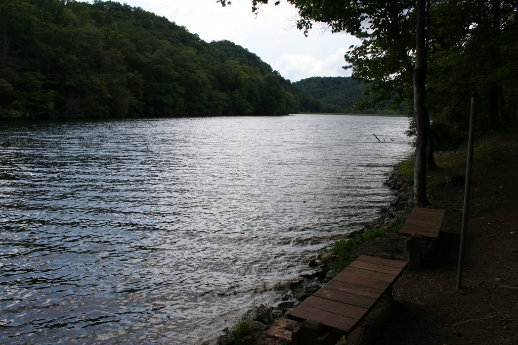 Popular Fishing Spot, Hungry Mother Lake, Va. by pmcelveen