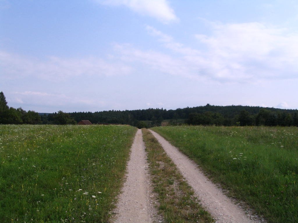 Szalafő,Csörgőszer by János Horváth (renau…