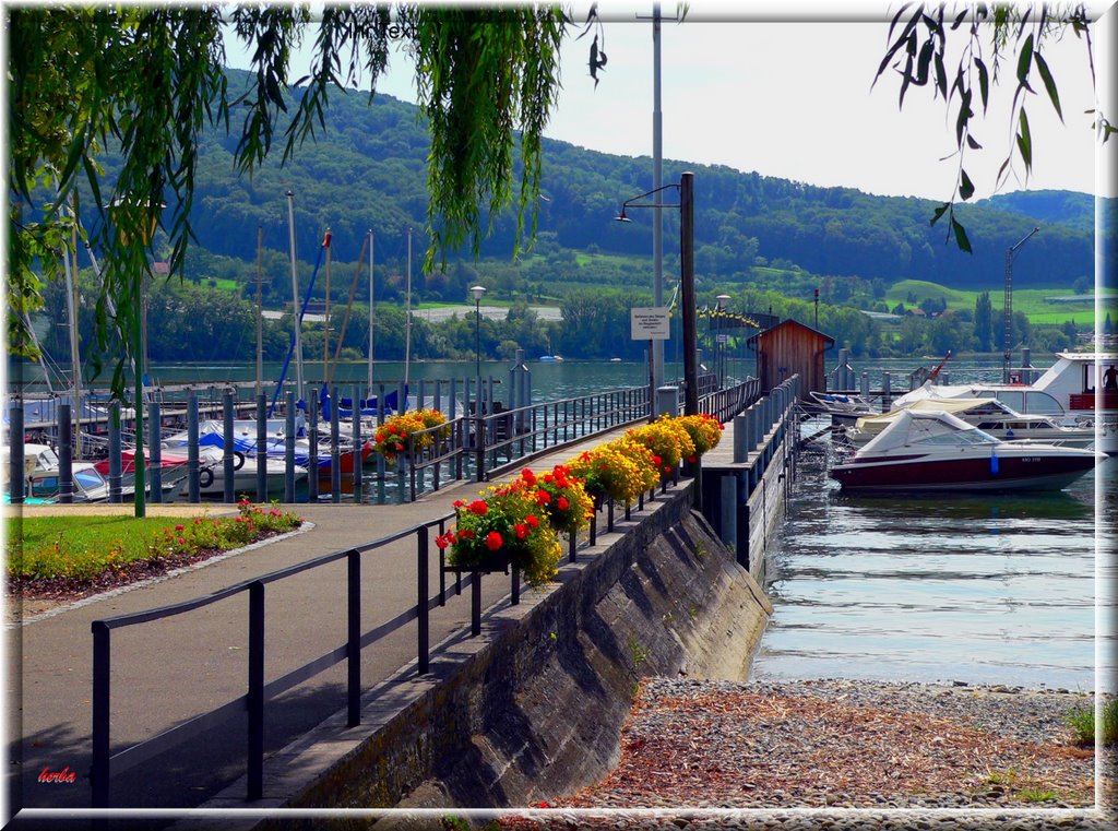 An der Schiffslände in Wangen am Untersee by herba