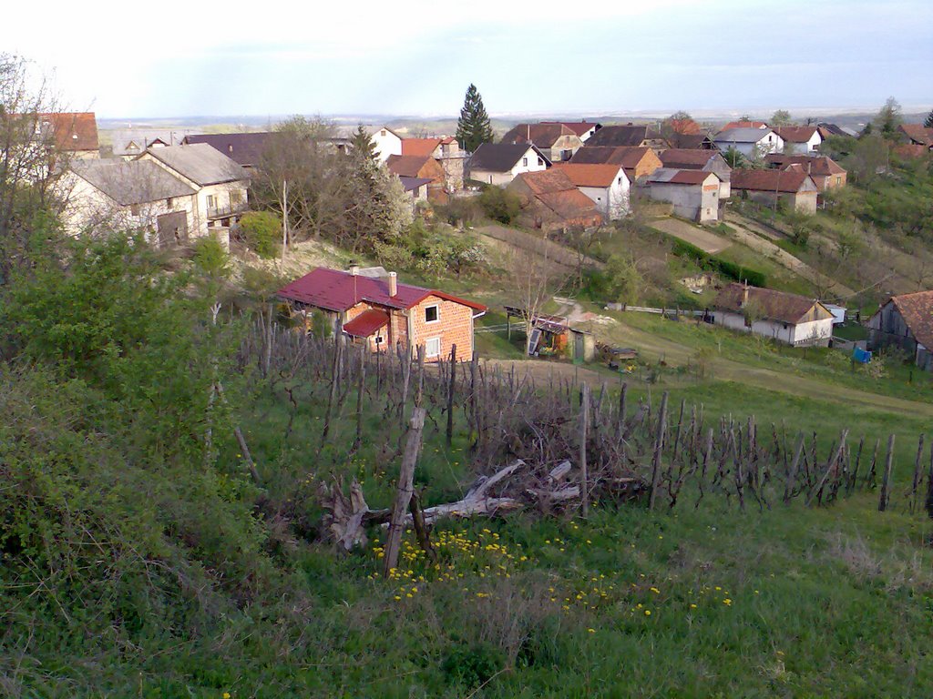 Panorama Bunjaka by Vizec B