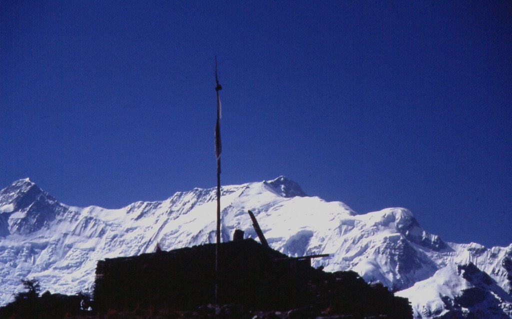 Rovine nel cielo, da Manang (Annapurna I, 8.091 m. e parte del Gangapurna, 7454 m.) - 29 aprile 2001 by Marco Carnelli