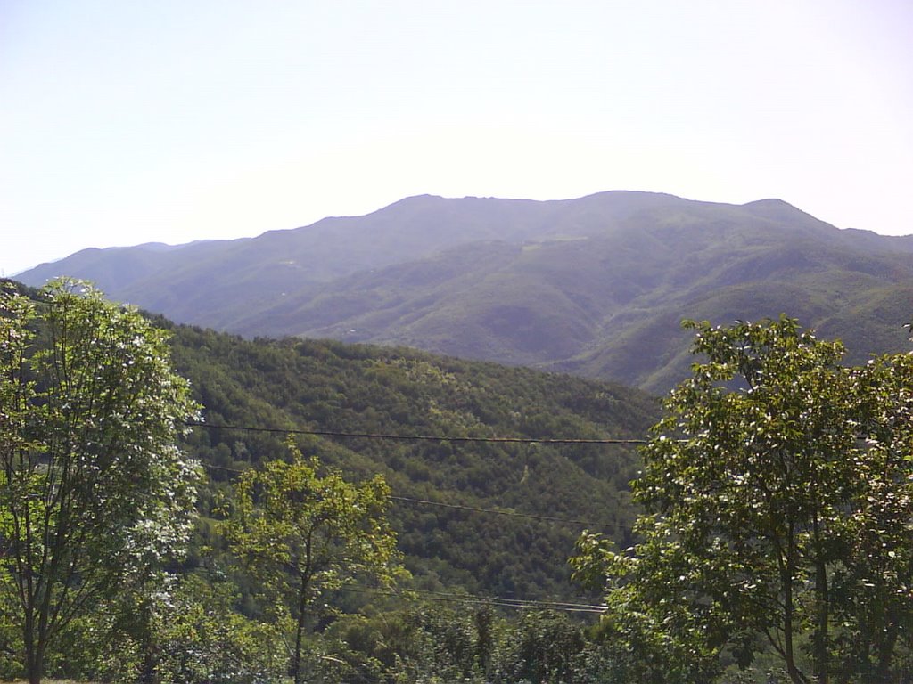 Vue du haut de Montferrer by jaco44