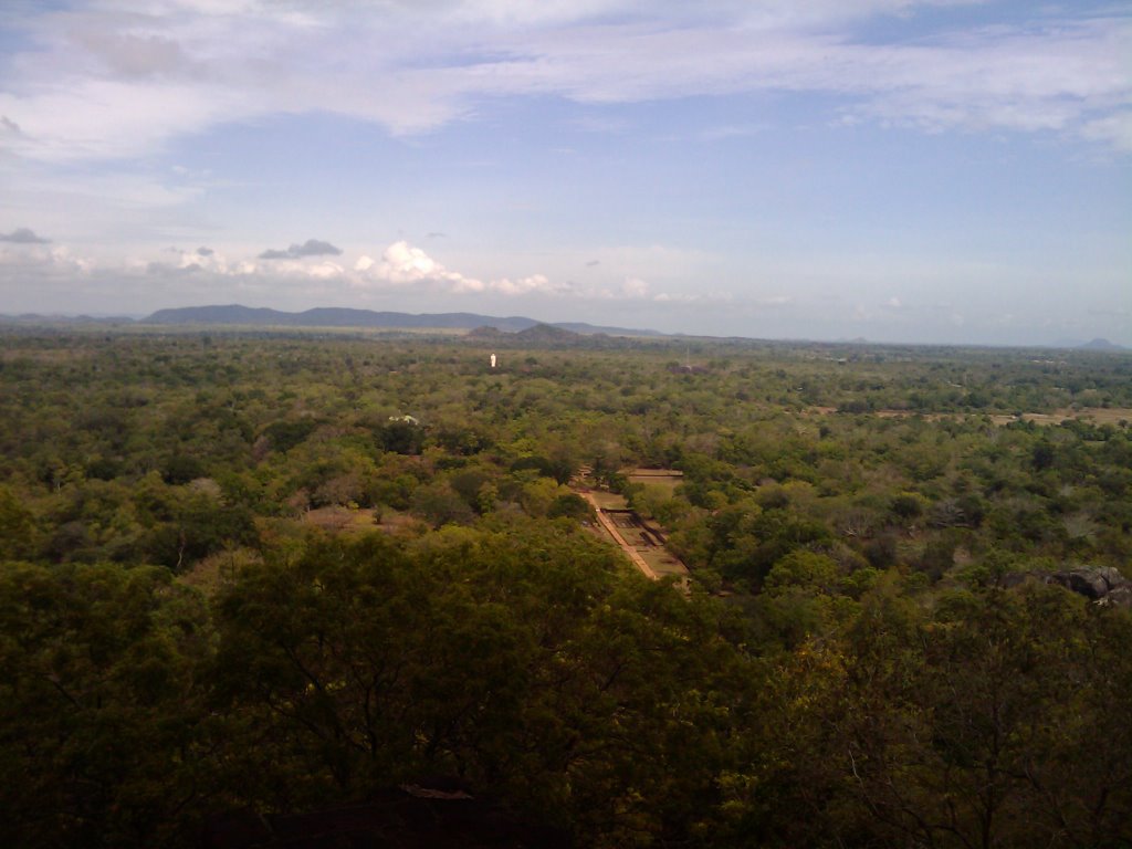 View from the top of Sigiriya by davidkort