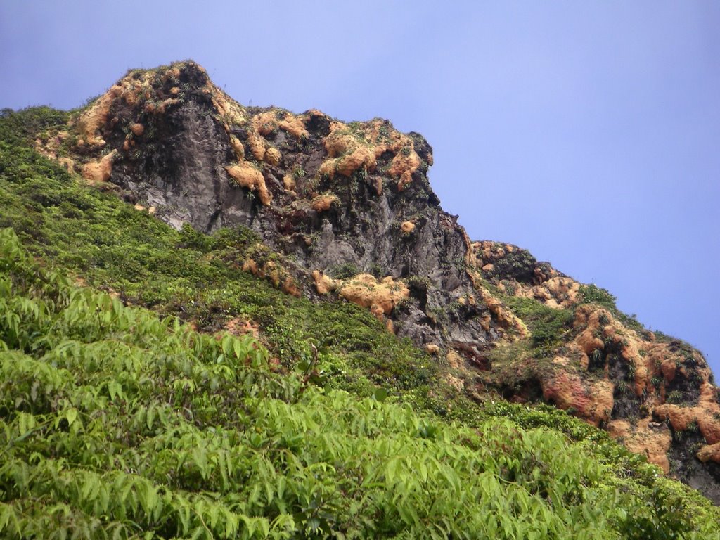 Aiguille de lave habillée de sphaignes (Soufrière) by Yanti & François Bea…