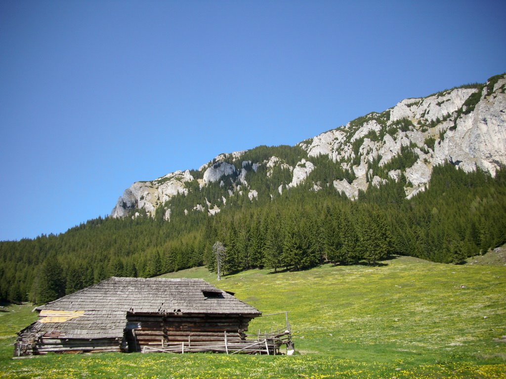 Moieciu, Romania by Marius Forgaciu