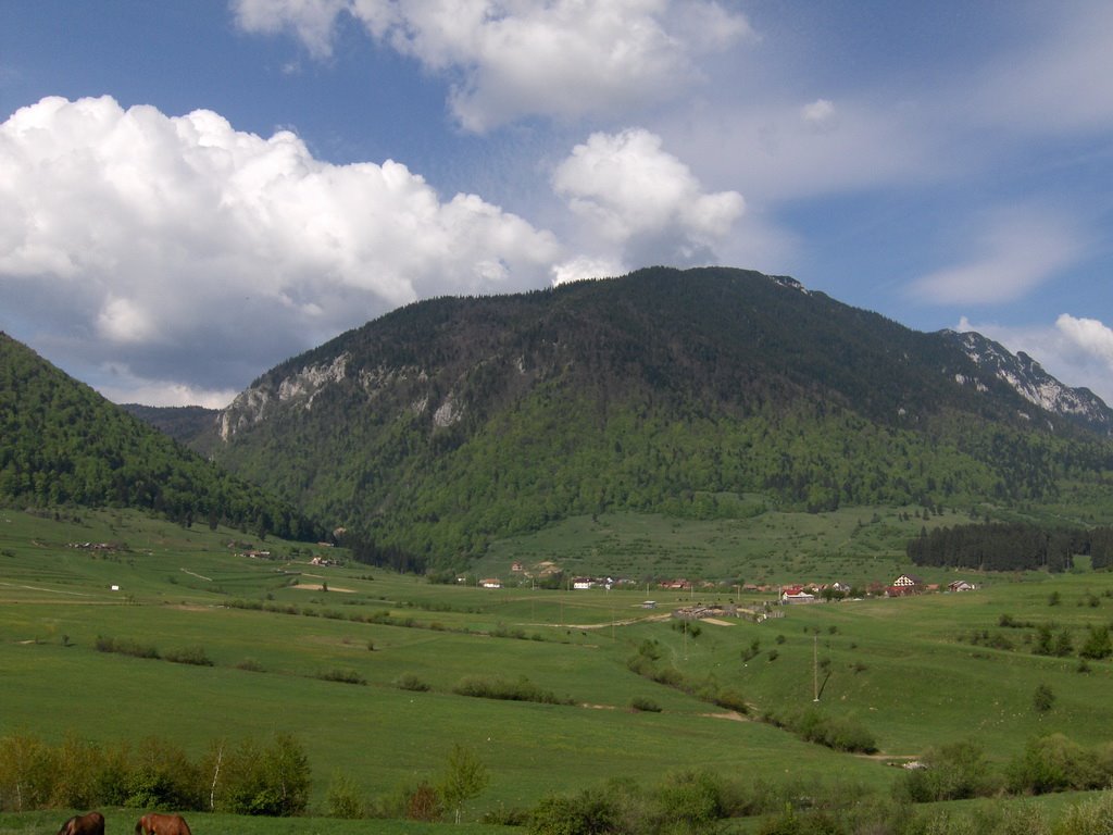 Piatra Craiului / King's Stone by Marius Forgaciu