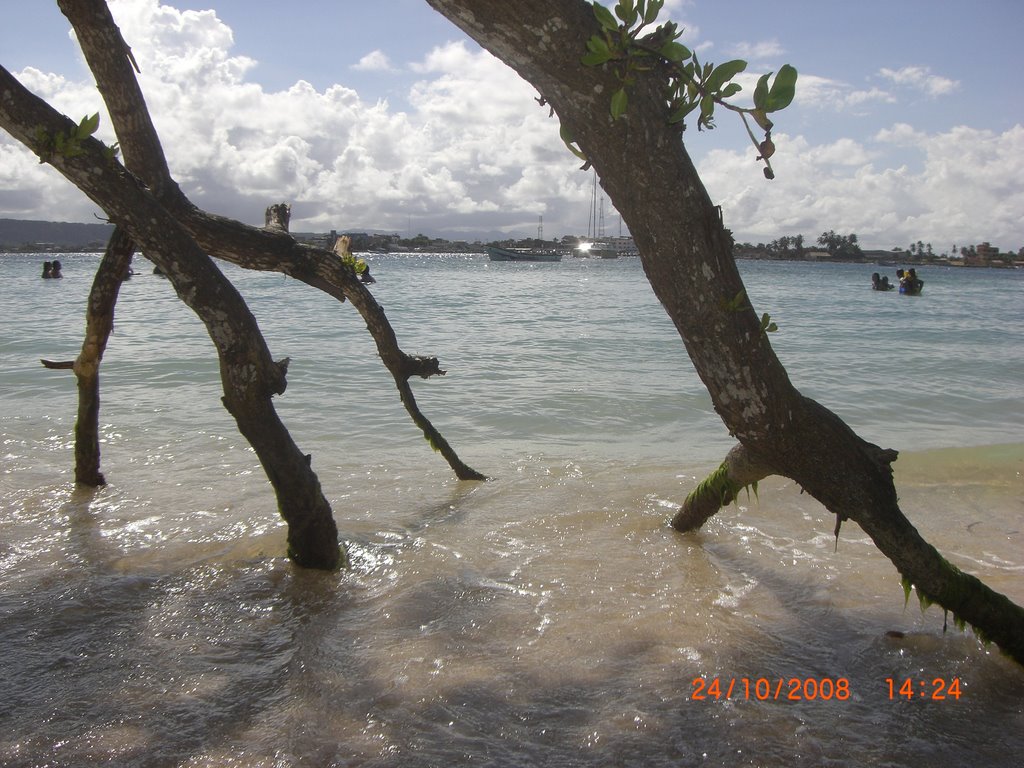 PARQUE NACIONAL MORROCOY VENEZUELA by ANGEL LEAL