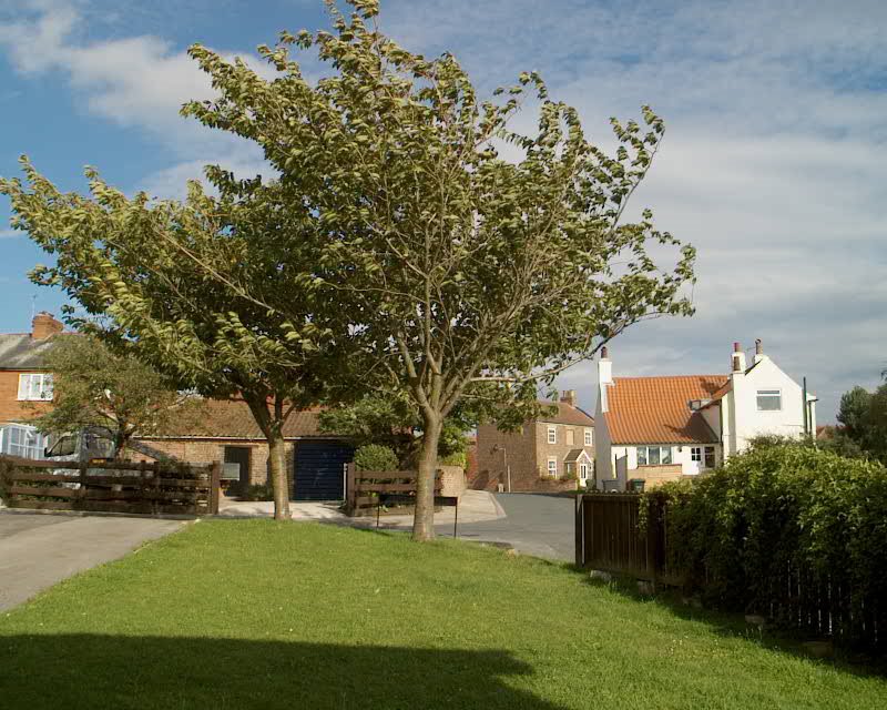 Landing Lane, Barlby. by terry baines