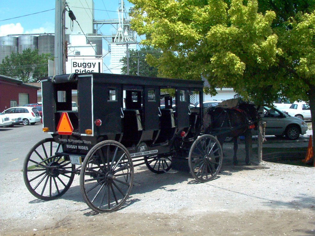 Shipshewana Buggy Rest by T. Strong