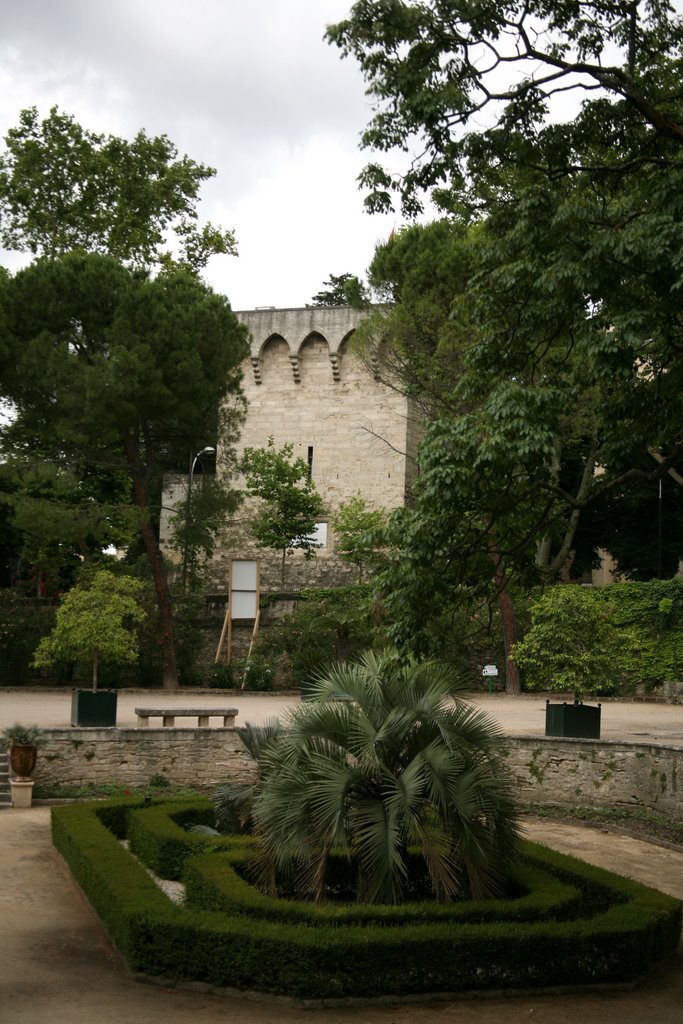 Jardin des Plantes, Montpellier, Hérault, Languedoc-Roussillon, France by Hans Sterkendries