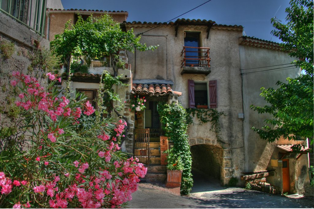 Salernes - rue du château by Martin Fry