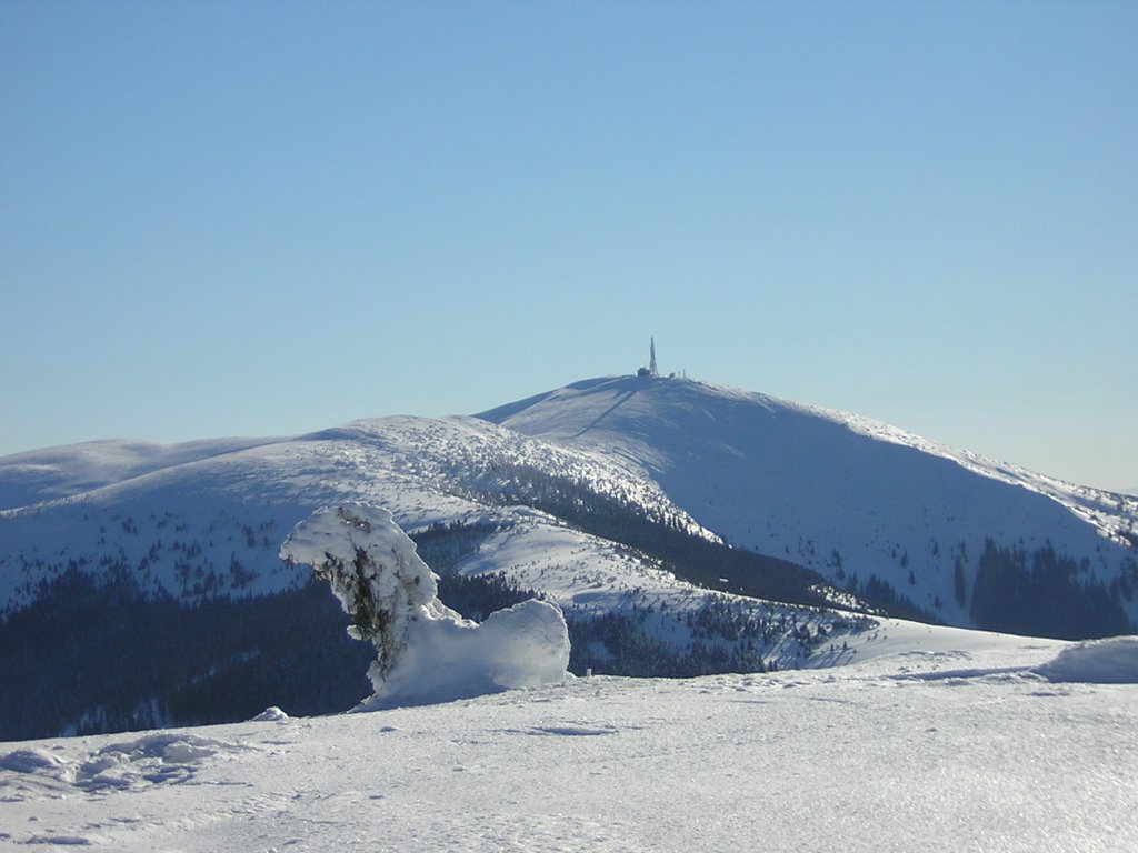 Piatra graitoare spre bihorul mare by kokijan