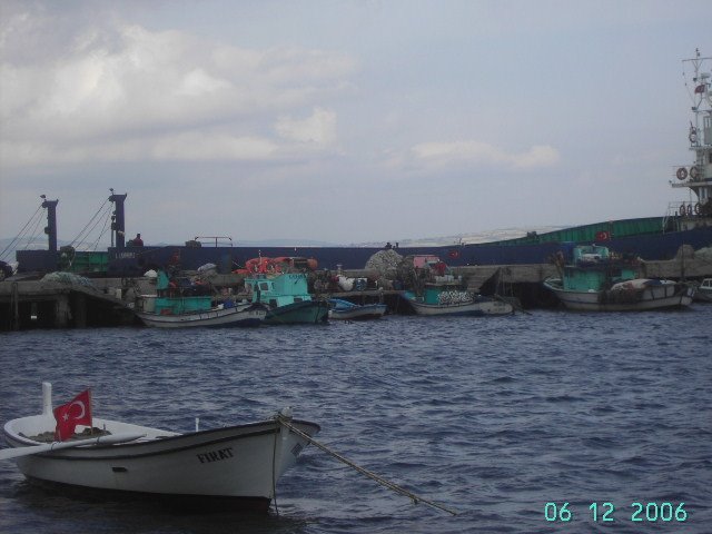 Gelibolu-Çardak Feribotu Yolu, 17810 Çardak/Lapseki/Çanakkale, Turkey by eçialanlı