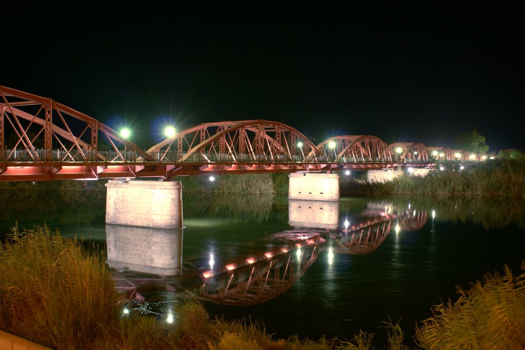 Puente de Hierro (Talavera) by vggalan