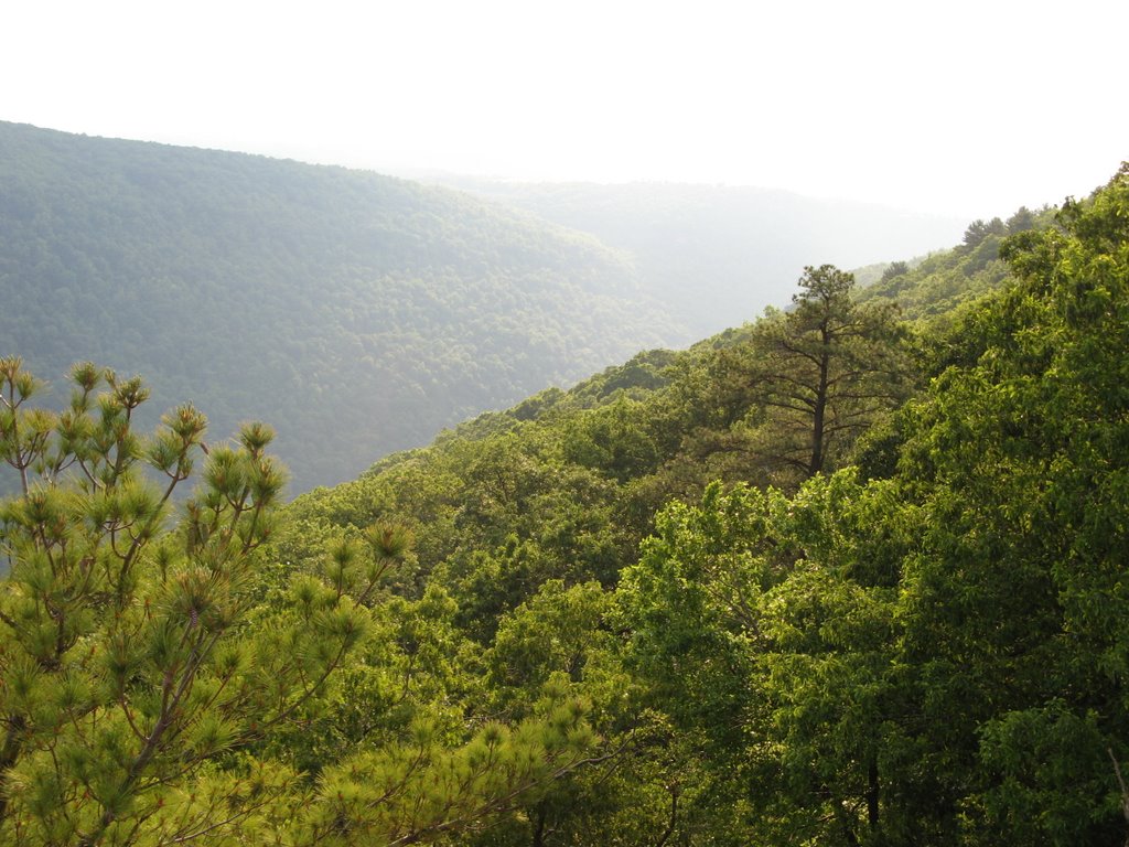 Coopers Rock State Park by Mochi Mochi kun