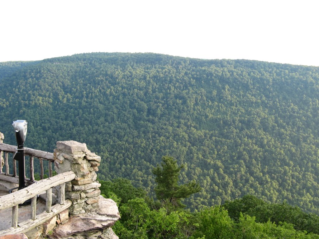 Coopers Rock State Park by Mochi Mochi kun