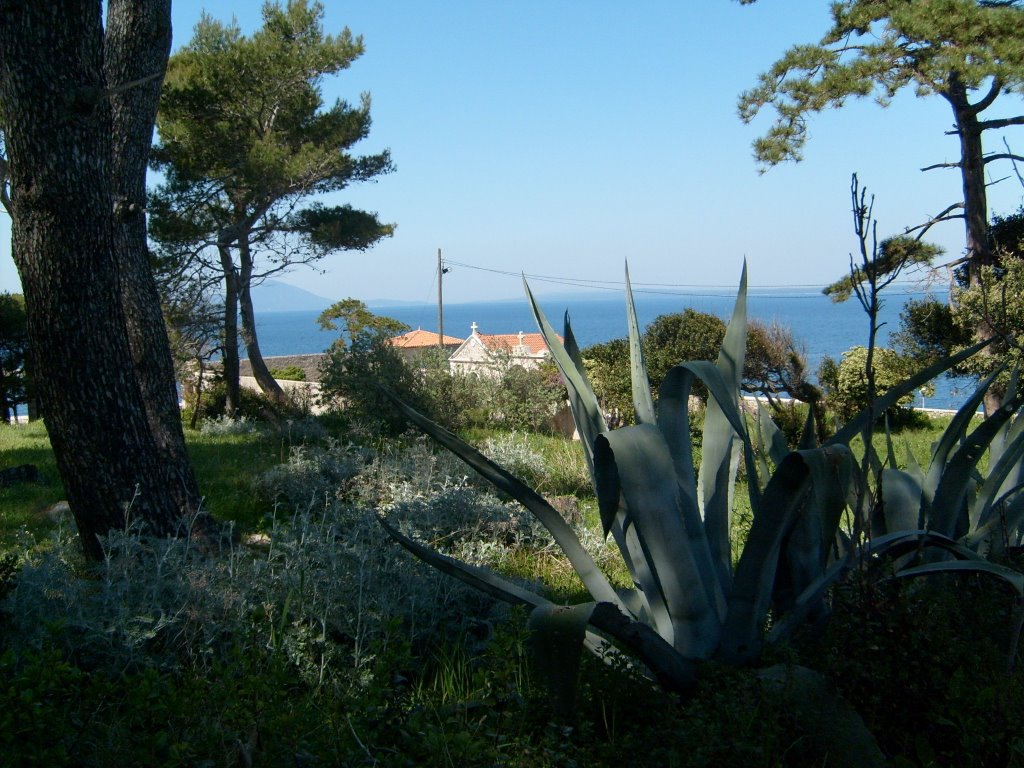 V. Losinj - Blick Richtung N-W by Stephan H