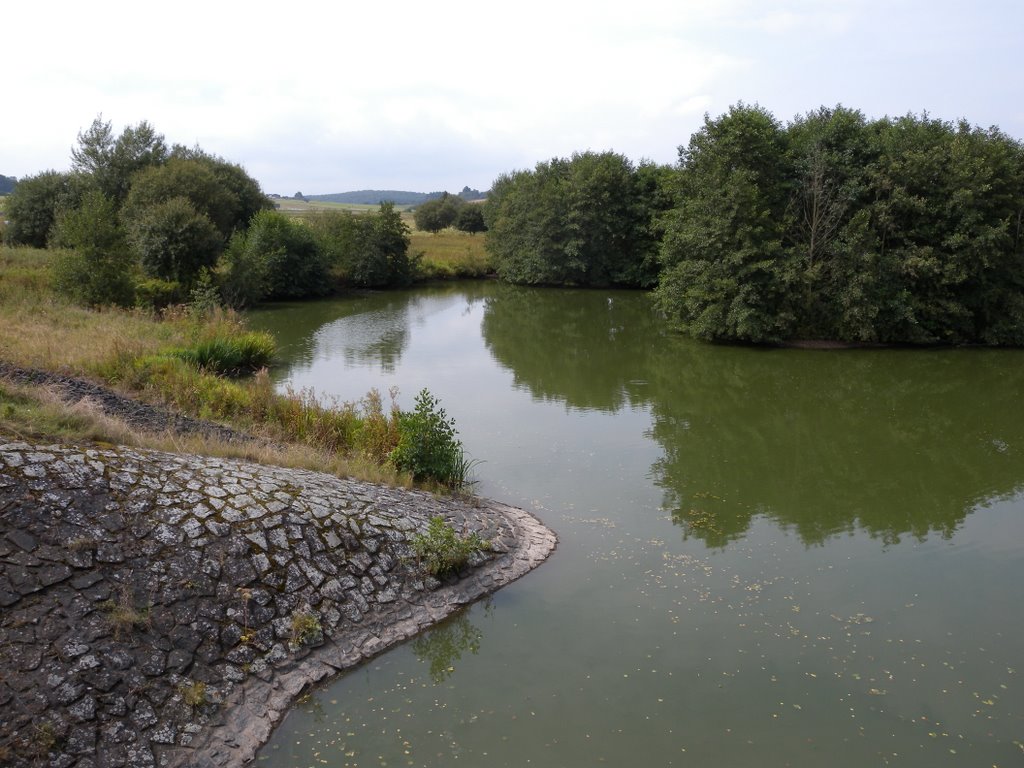 Aartalsee, Naturschutzgebiet im Vorbecken by Helfmann