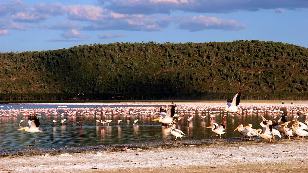 Baruti East, Nakuru, Kenya by zhouxin