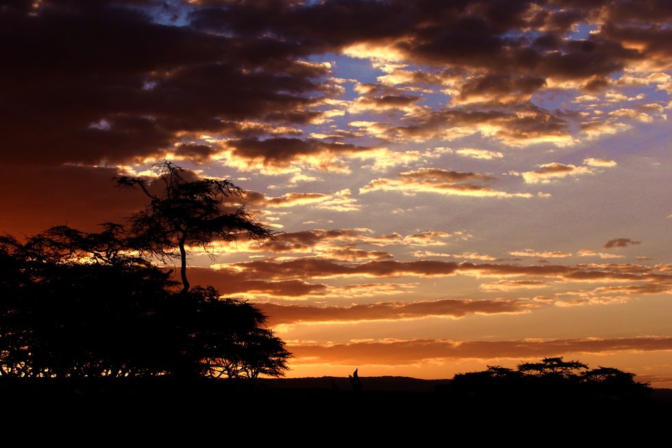 Baruti East, Nakuru, Kenya by zhouxin