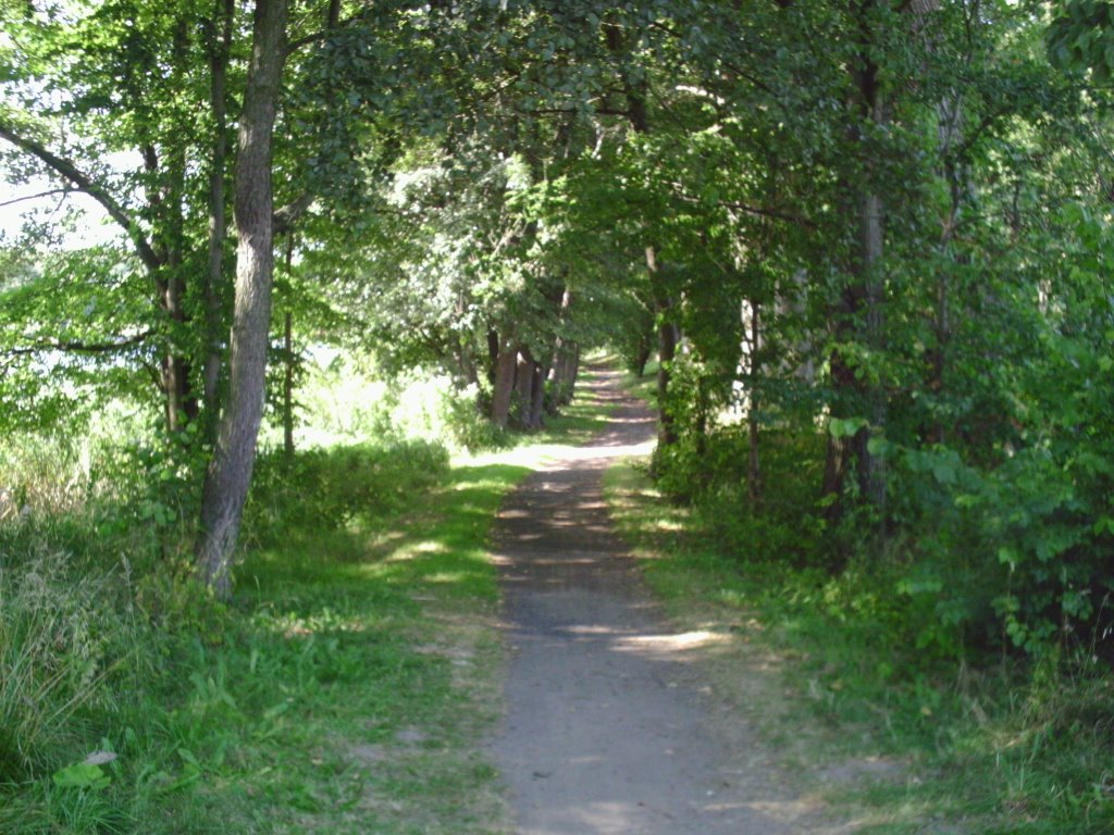 Ścieżka spacerowa nad j. Trzesiecko, widok w kierunku północno - wschodnim by Miłosz Skwierawski