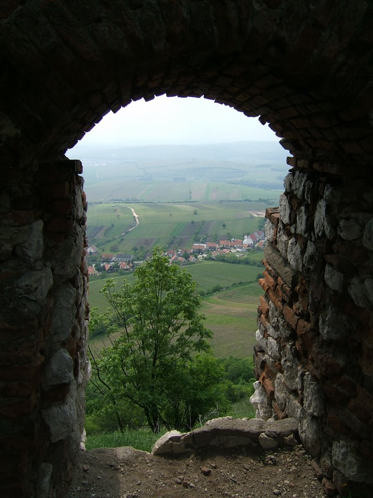 View of Pavlov (Czech Republic) from hill fortress by DSPrice