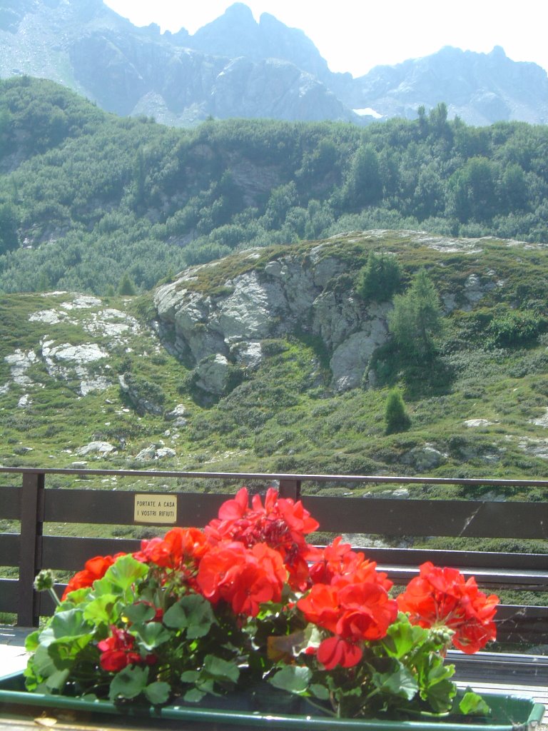 Panorama dal rifugio Calvi by andreabg_75