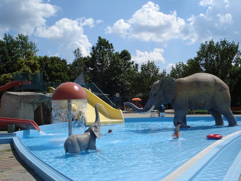 Hajduszoboszlo 2008 elefant aquapark by tweetyke