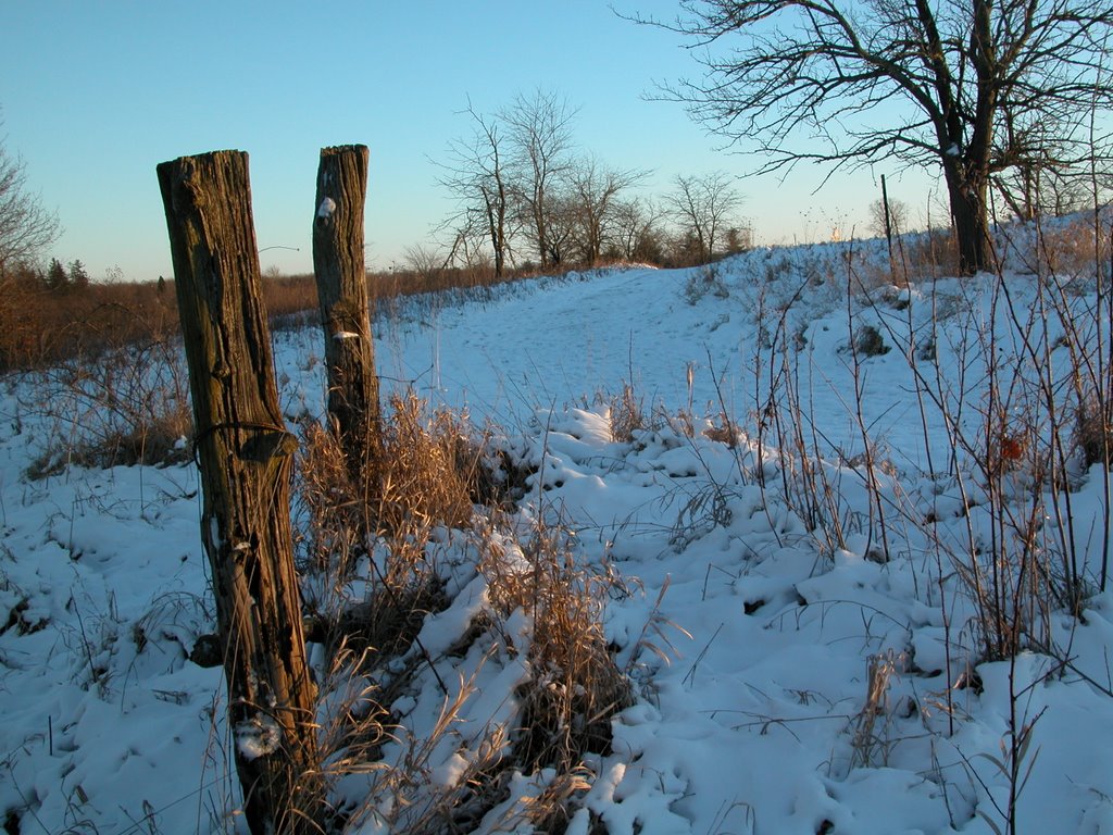 A winter trail (Lake fo the Woods) by Marek Jochec