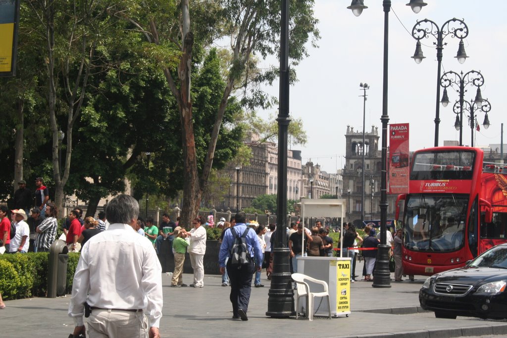 Street by Catedral and Zocalo by Perro Boricua