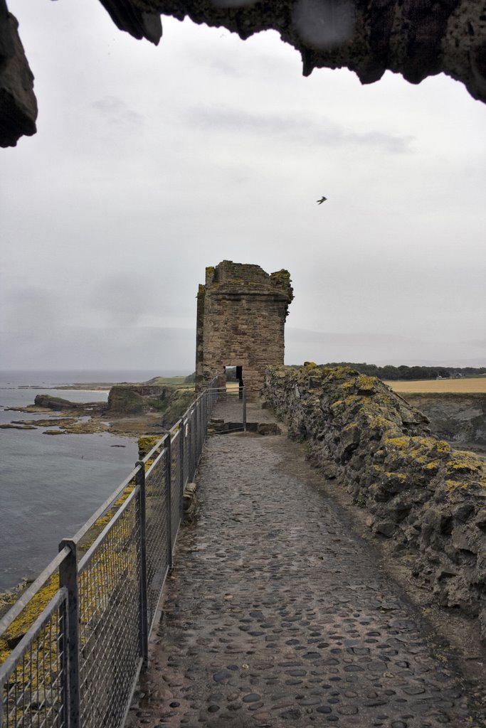 Tantallon Castle by fillupbee1