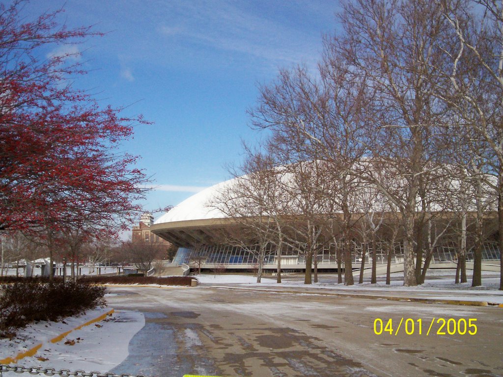 Assembly Hall, Champaign, IL by Cecilia Sepulveda