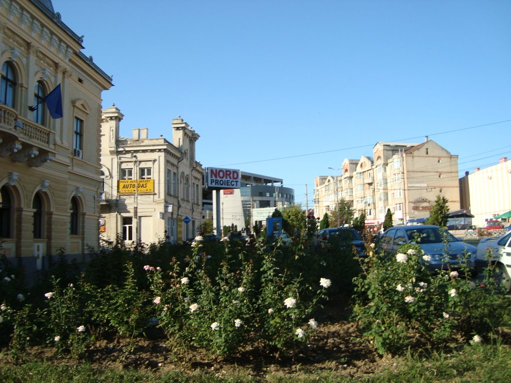 Trandafiri langa biblioteca "Mihai Eminescu" by Swissa