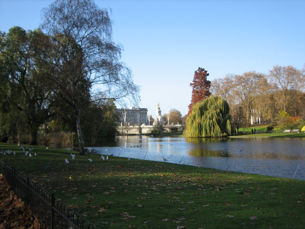 St. James Park by Buddika Hettitantri