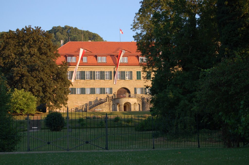 Schloss in Castell by Revesz Daniel