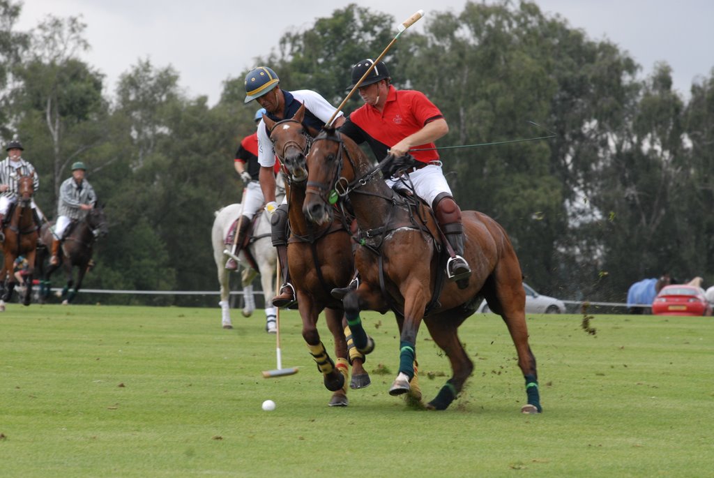 Polo at Windsor Gt Park by davehiltonroberts