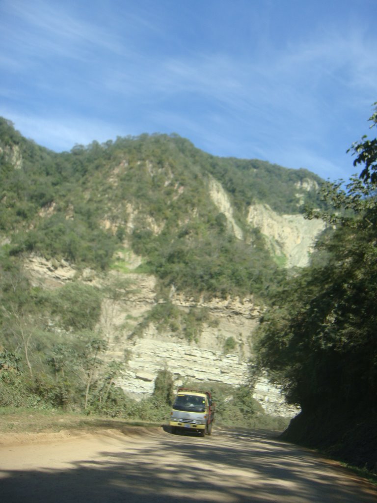 Ruta 4 próximo de San Luis - Província de Santa Cruz de La Sierra - Bolívia by Paulo Yuji Takarada