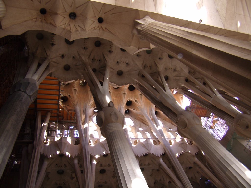 Sagrada Familia, Barcelona, Spain by TropicB