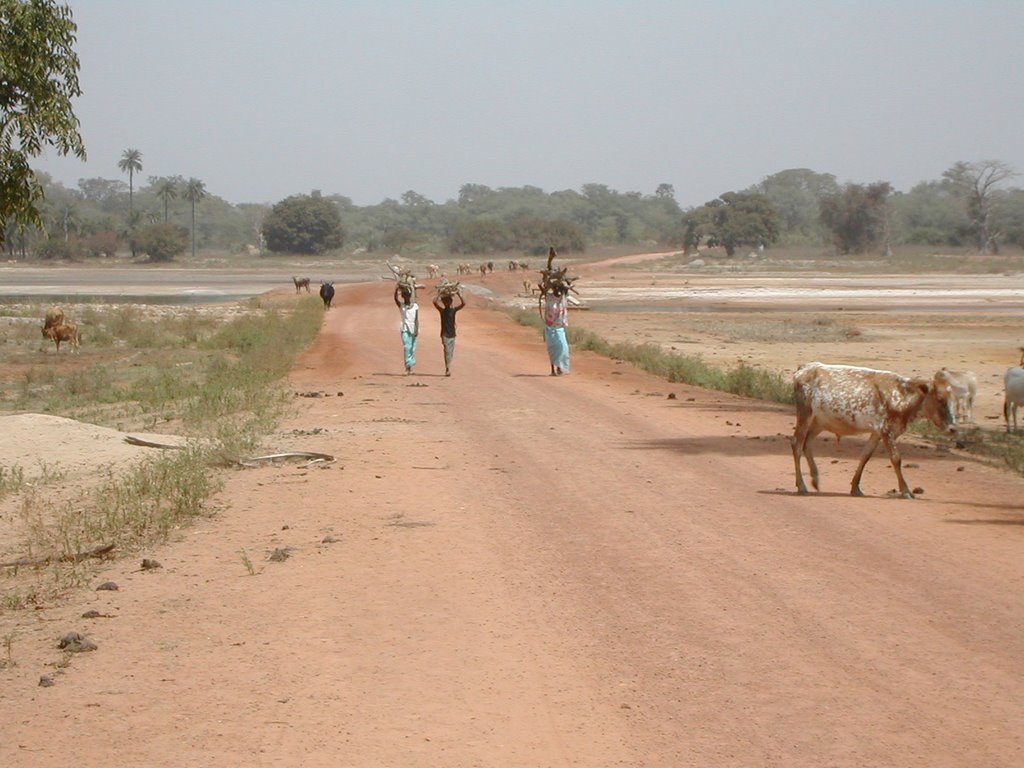 Casamance by la teranga