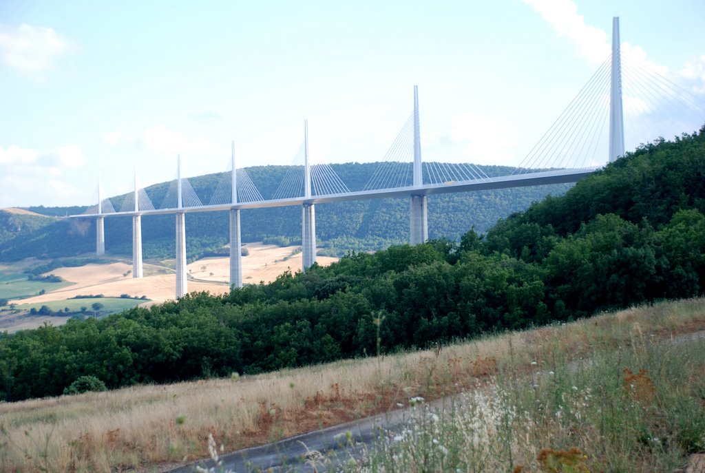 815.Viaducto de Millau 110 by jluismreyero